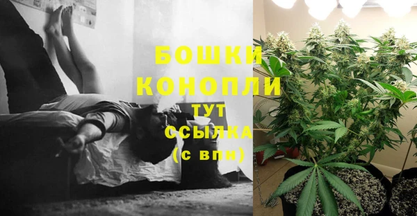 каннабис Алексин