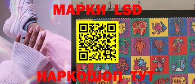 mdma Гатчина